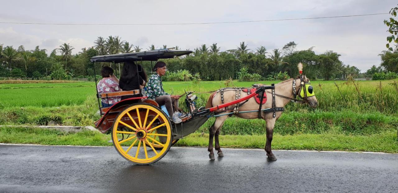 Borobudur Bed & Breakfast Маґеланґ Екстер'єр фото